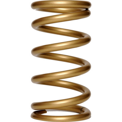 Landrum Springs Conventional Rear Coil Spring 5
